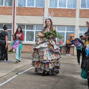 Concurs Scoala Brebu